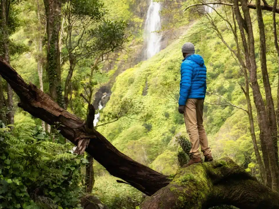Hiker admiring a waterfall on an Azores trail